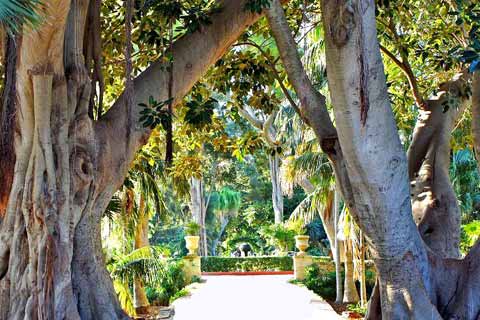 Sant'Anton Public Garden, Attard, Malta