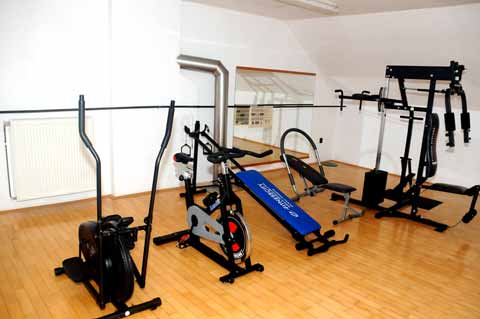 Fitnessraum Pension U KRÁLE, Nevid