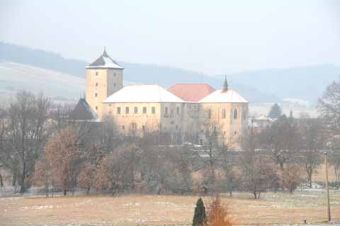 Wasserburg Švihov, Vodní hrad Švihov